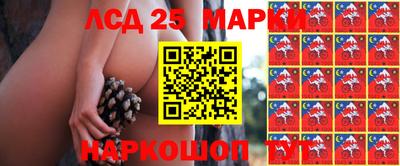 мет Заводоуковск