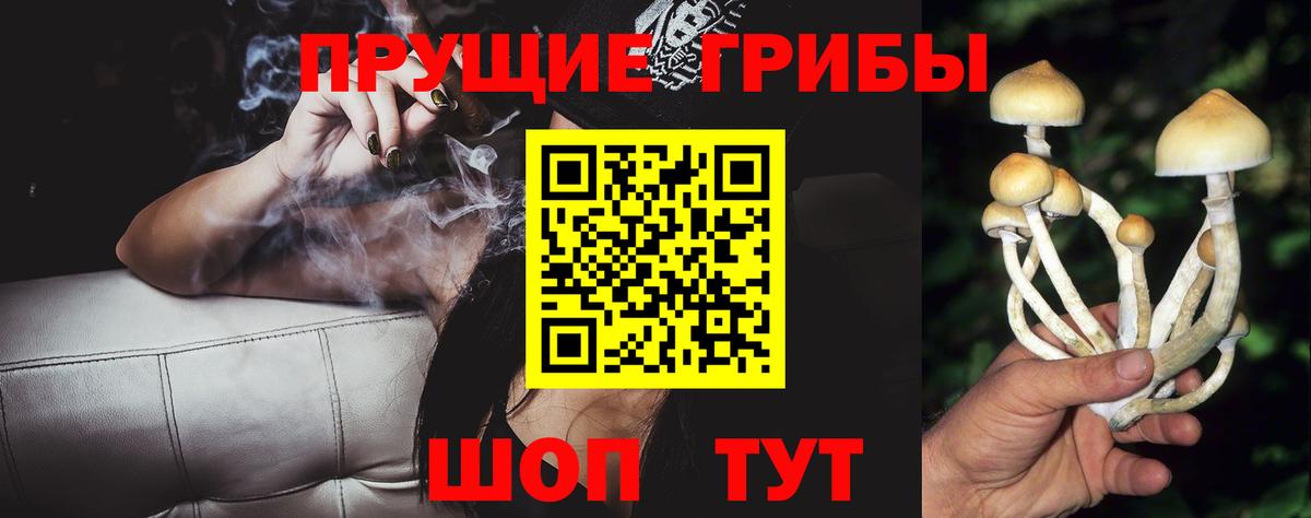 наркошоп  Вход с VPN  Галлюциногенные грибы Cubensis  Курчалой  Псилоцибиновые грибы Psilocybe 